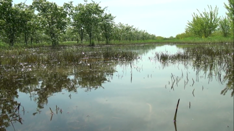 Aqrar Sığorta Fondunun rəhbərliyi zərər dəymiş təsərrüfatlarda olub - FOTOLAR
